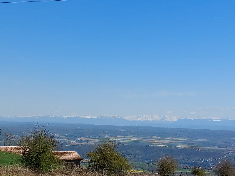 pas_de_photo